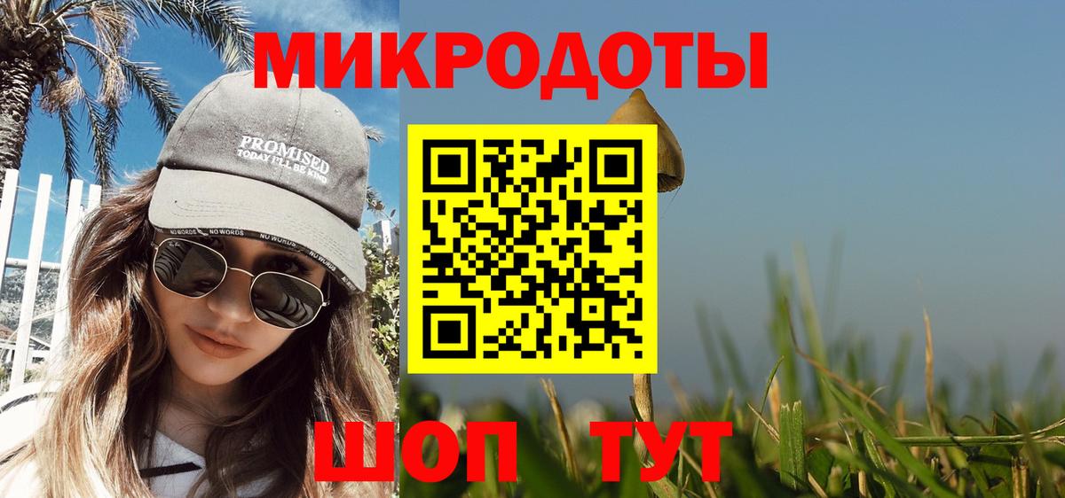 Губкинский  Псилоцибиновые грибы Psilocybine cubensis  Вход с VPN 